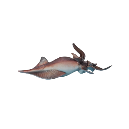 Tintenfisch 3D-Modell für Unity - Spielfertiges Asset, FBX | Lizenzfrei