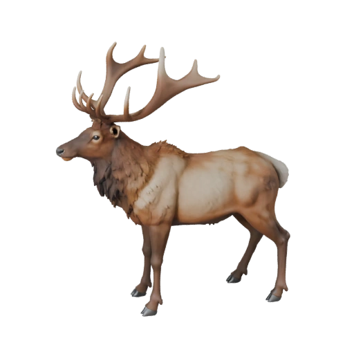 نموذج ثلاثي الأبعاد لـ Elk عالي الدقة - أصل STL مفصل للطباعة | PBR
