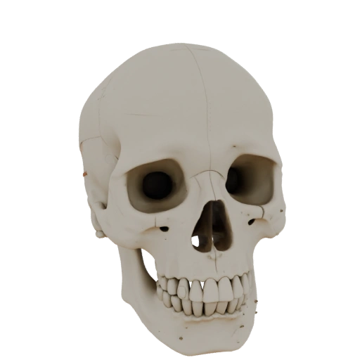 Modelo 3D de Crânio Articulado Imprimível para Uso Hobby