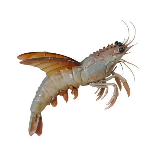 Modello 3D Gambero Cartone Animato - Asset Stilizzato per Animazione | PBR