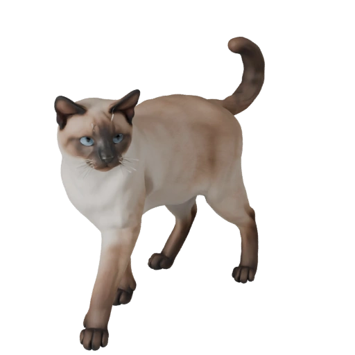 Modelo 3D Gato Birmano para Unity - Asset Listo para Juego, FBX | Libre de Regalías