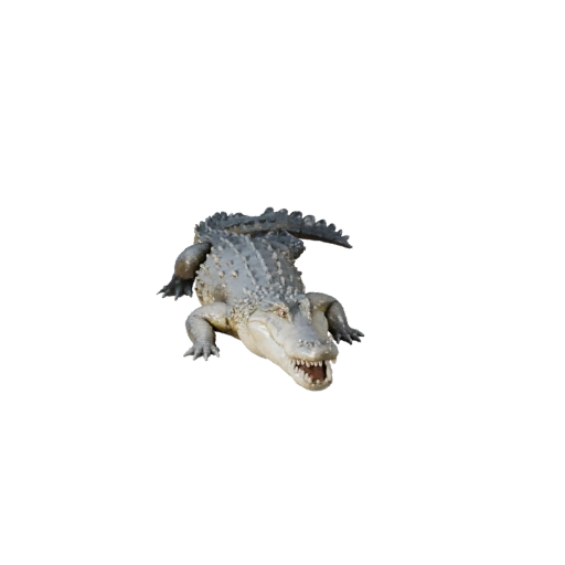 Krokodil 3D-Modell für Unity - Spielfertiges Asset, FBX | Lizenzfrei