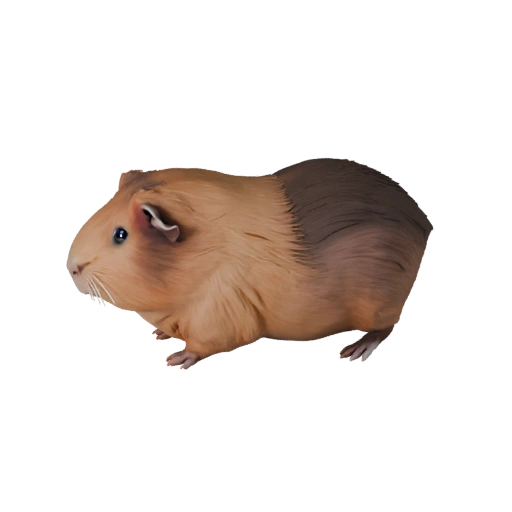 Modèle 3D de Cochon d'Inde Haute Poly - Actif STL Détaillé pour Impression