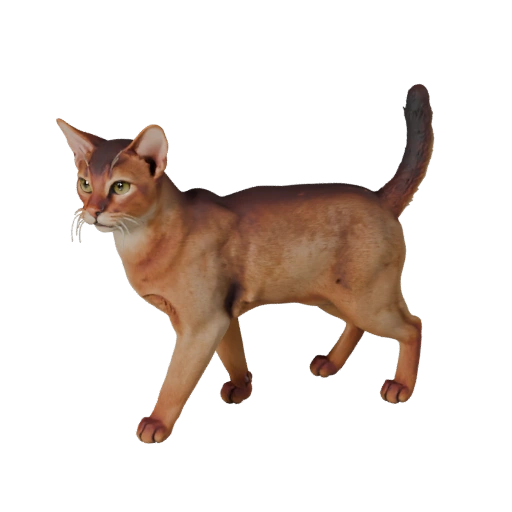 Realistische Abessinier Katze 3D-Modell - Rigged PBR Asset für Spiele