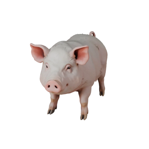 Schwein 3D Modell für Unity - Spielfertiges Asset, FBX | Lizenzfrei
