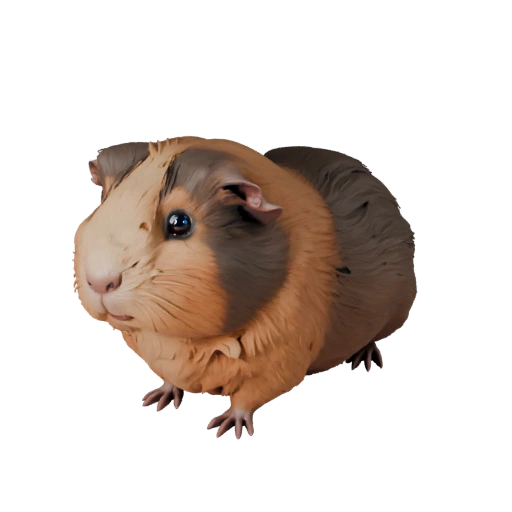 Modèle 3D réaliste de cochon d'Inde - Asset PBR riggé pour jeux