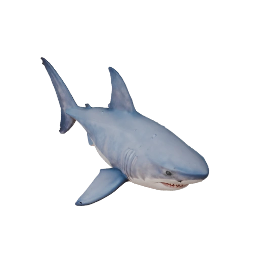 Modello 3D di Squalo Bianco Cartone Animato - Asset Stilizzato per Animazione