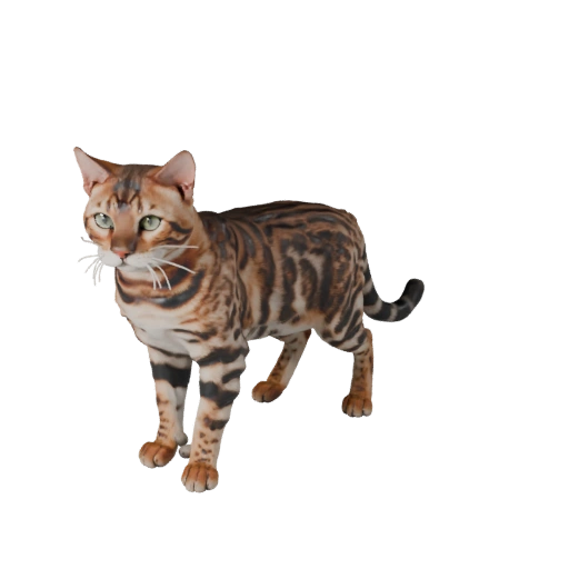 Realistische Bengal Katze 3D-Modell - Rigged PBR Asset für Spiele
