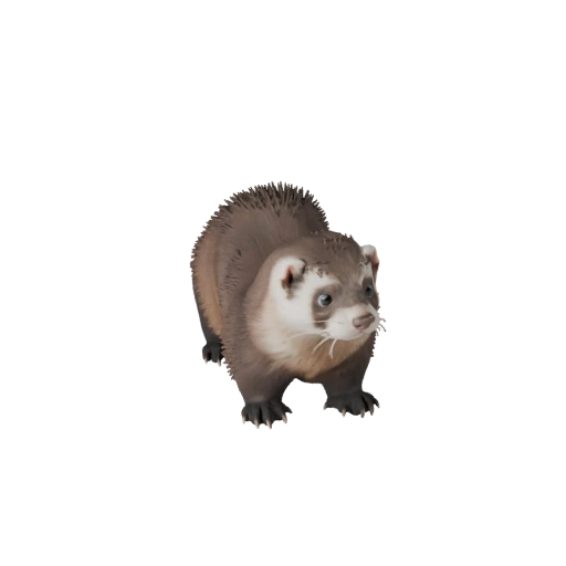 Modelo 3D de Hurón para Unity - Asset Listo para Juego, FBX | Libre de Regalías