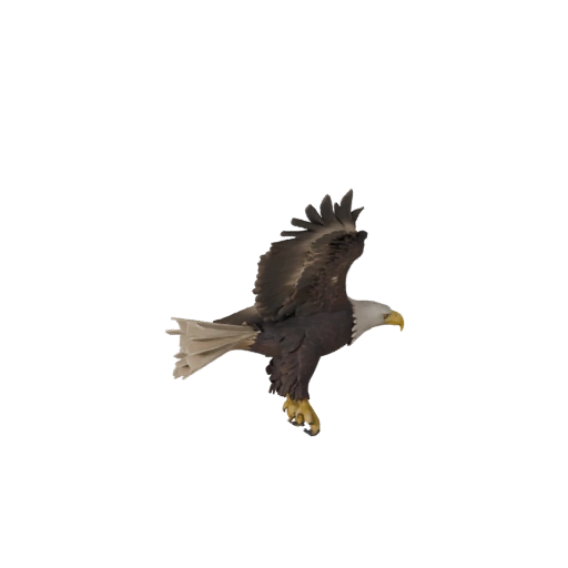 Realistischer Weißkopfseeadler 3D-Modell - Rigged PBR-Asset für Spiele