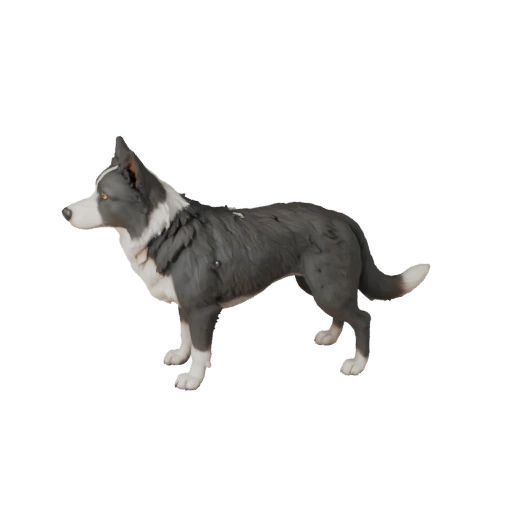 Modelo 3D de Perro Border Collie Caricatura - Asset Estilizado para Animación