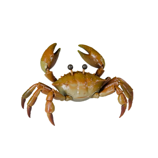 Modèle 3D Crabe Dessin Animé - Asset Stylisé pour Animation | Libre de Droits