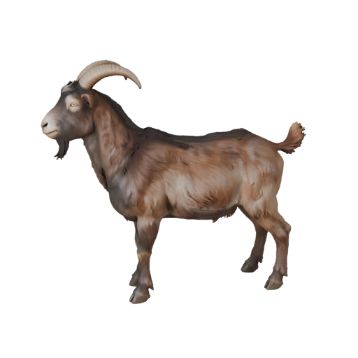 Modello 3D Capra per Blender - Asset PBR con Texture | Royalty-Free