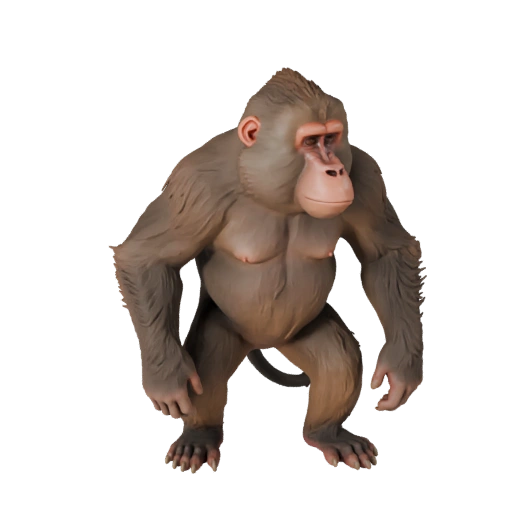Modèle 3D de Babouin Réaliste - Asset Riggué PBR pour Jeux | PBR