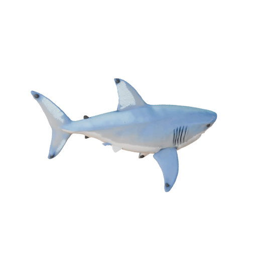 Modelo 3D de Tiburón para Blender - Activo PBR con Texturas | Libre de Regalías