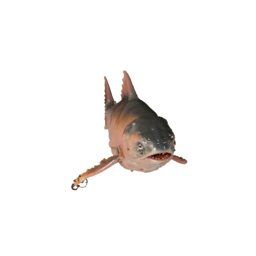 Salmón Realista Modelo 3D - Activo PBR Rigged para Juegos | PBR