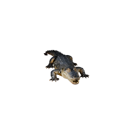 Caimán Realista 3D Model - Activo PBR Rigged para Juegos | PBR