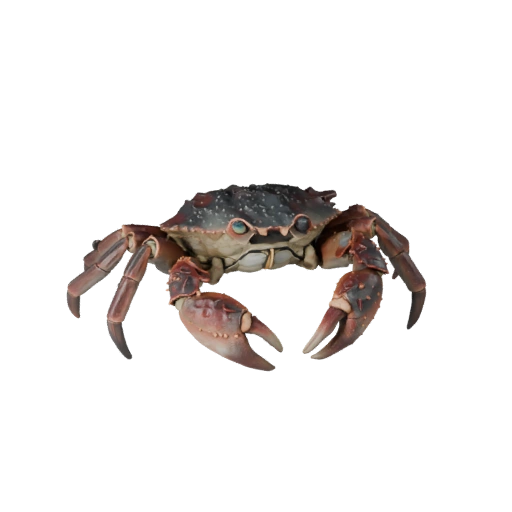 Modèle 3D de Crabe Haute Poly - Actif STL Détaillé pour Impression | PBR