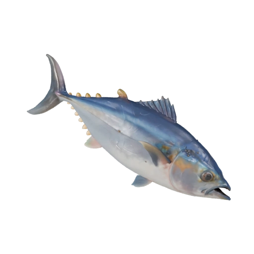 Modelo 3D de Atún Realista - Activo PBR Rigged para Juegos | Libre de Derechos