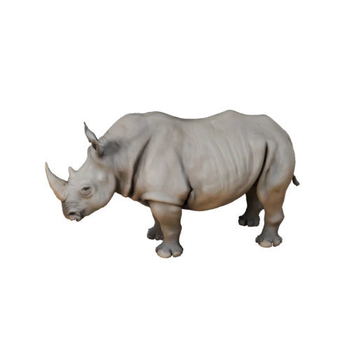Rinoceronte Bianco Realistico 3D Model - Asset PBR Rigged per Giochi