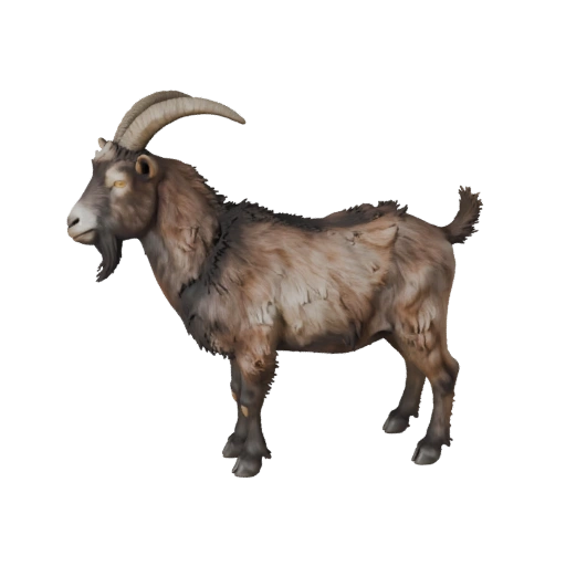 Capra Realistica 3D Model - Asset PBR Rigged per Giochi | Royalty-Free