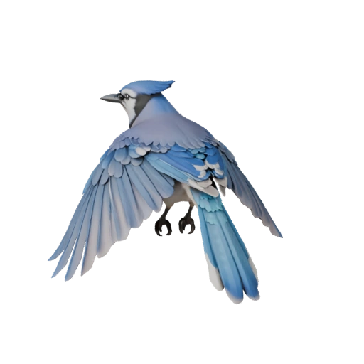 Blauer Jay 3D Modell für Blender - PBR Asset mit Texturen | PBR