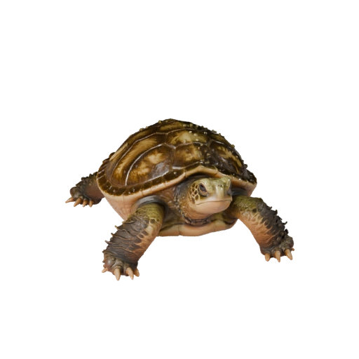 Modelo 3D Realista de Tartaruga-Mordedora - Asset PBR Rigged para Jogos