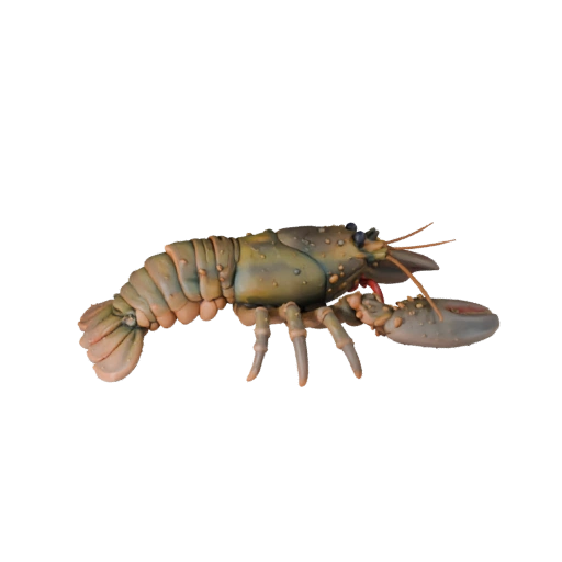 Modello 3D di Astice High Poly - Asset STL Dettagliato per la Stampa