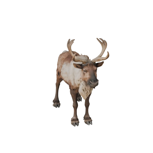 Caribou réaliste 3D - Asset PBR riggé pour jeux | PBR