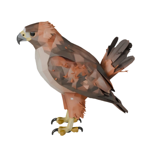 Modèle 3D de Buse à Queue Rouge Low Poly - Asset Unity avec FBX