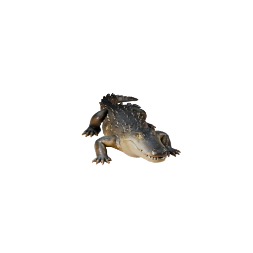 Modelo 3D de Caimán Poligonal Bajo - Asset de Juego para Unity con FBX | Libre de Regalías