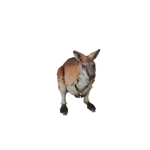Realistisches Wallaby 3D-Modell - Rigged PBR Asset für Spiele | PBR
