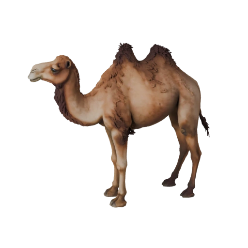 Dromedar 3D-Modell für Unity - Spielfertiges Asset, FBX