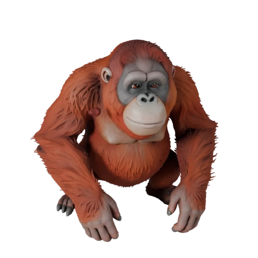 نموذج ثلاثي الأبعاد لـ orangutan لبرنامج Blender - أصل PBR مع خامات | PBR