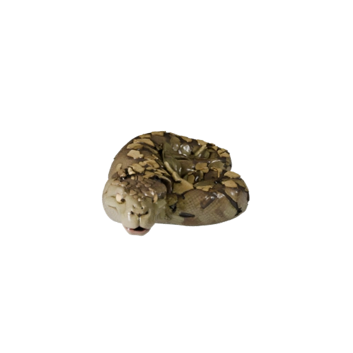 Modèle 3D de Python Réticulé pour Unity - Asset prêt pour le jeu, FBX