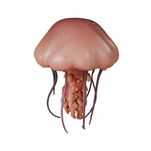 Cartoon Qualle 3D Modell - Stilisierte Asset für Animation | PBR