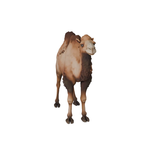 نموذج جمل واقعي ثلاثي الأبعاد - أصل PBR مجهز للألعاب | مجاني