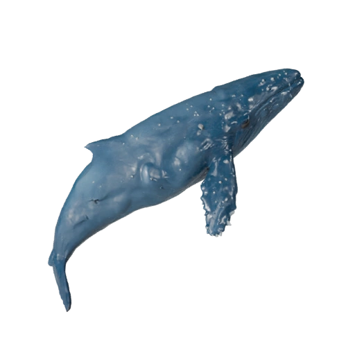 Modelo 3D de Beluga para Unity - Activo Listo para Juego, FBX | PBR