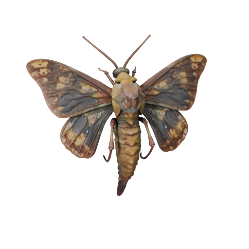 نموذج ثلاثي الأبعاد لفراشة Luna Moth لبرنامج Blender - أصل PBR مع نسيج | PBR