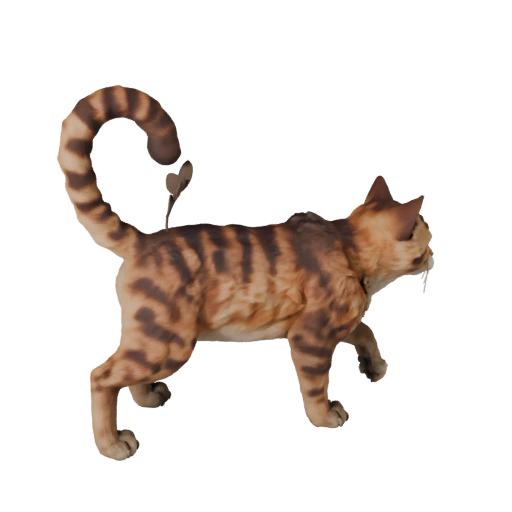 Modèle 3D de Chat Ragamuffin pour Blender - Asset PBR avec Textures
