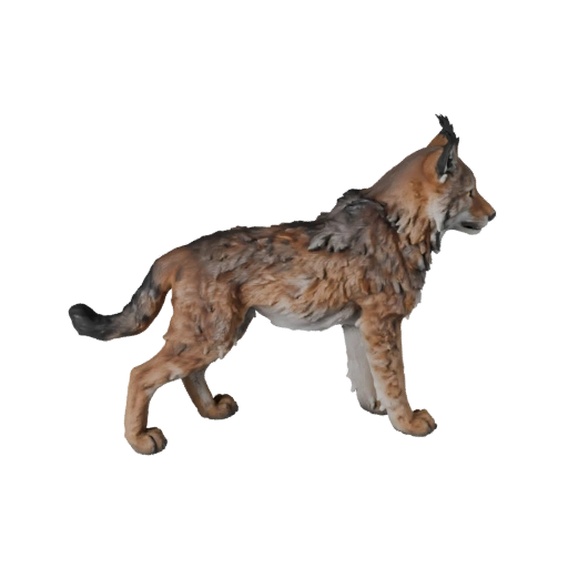 Modelo 3D de Lince Realista - Activo PBR Riggeado para Juegos | Libre de Regalías