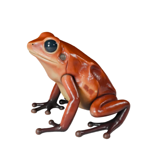 Modelo 3D de Rana Dardo Venenoso Caricatura - Asset Estilizado para Animación