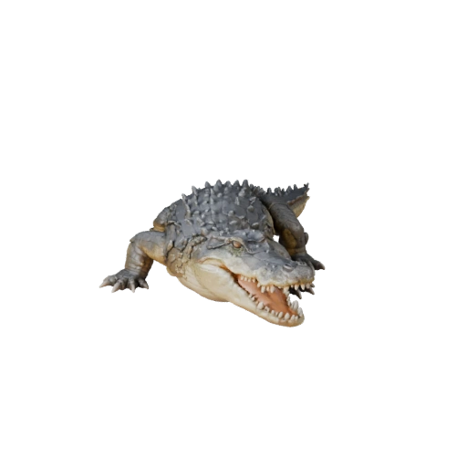 Modelo 3D de Cocodrilo Realista - Activo PBR Rigged para Juegos | PBR