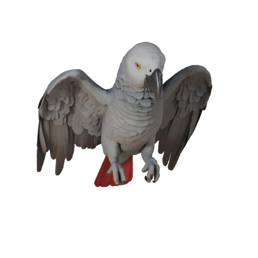 Pappagallo Cenerino Realistico 3D Model - Asset PBR Rigged per Giochi