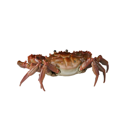 Modèle 3D de Crabe pour Blender - Asset PBR avec Textures | Libre de Droits
