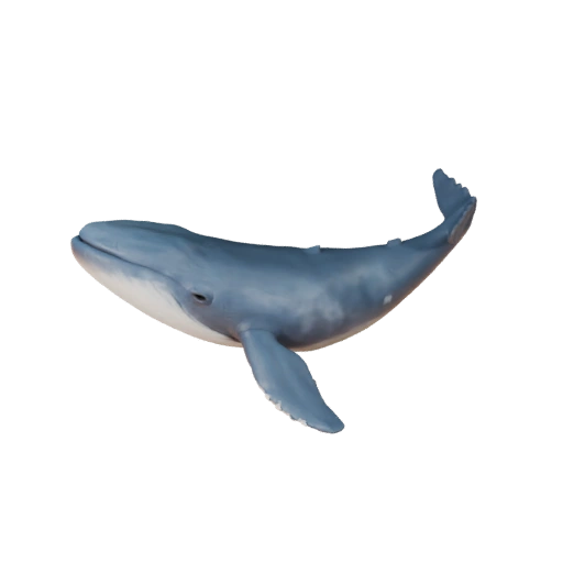 Modelo 3D de Beluga para Blender - Activo PBR con Texturas