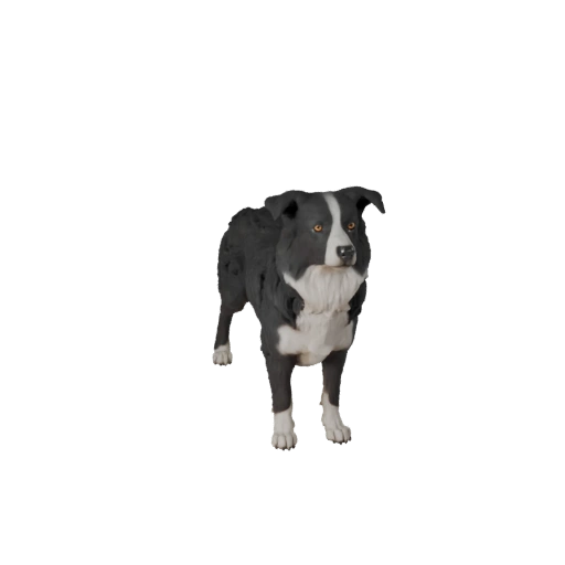 Modelo 3D de Perro Border Collie para Unity - Asset Listo para Juego, FBX