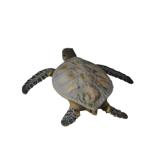 Meeresschildkröte 3D-Modell für Unity - Spielfertiges Asset, FBX | Lizenzfrei