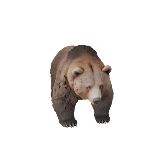 Oso Grizzly Realista 3D Model - Asset PBR Rigged para Juegos