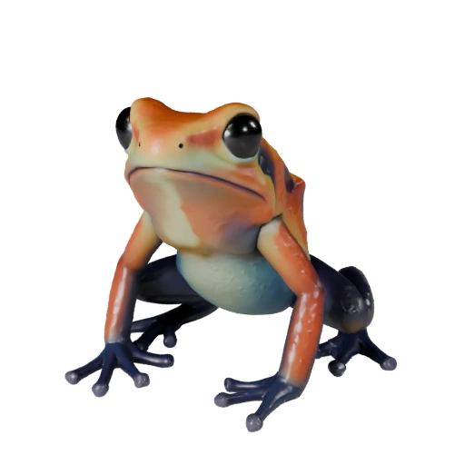 Modelo 3D realista de rana dardo venenoso - Activo PBR Rigged para Juegos